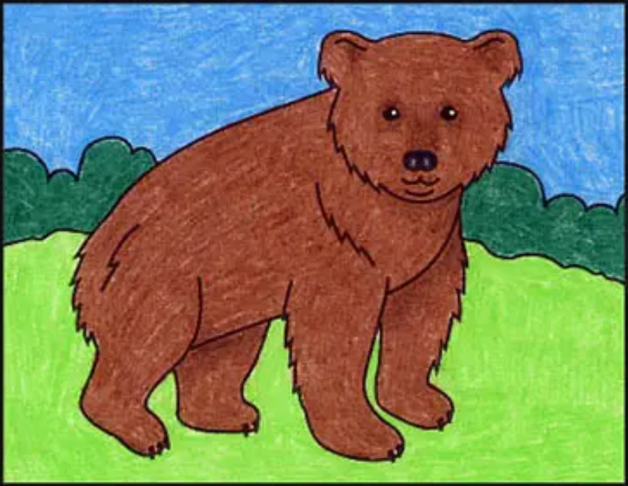 How do you draw a bear